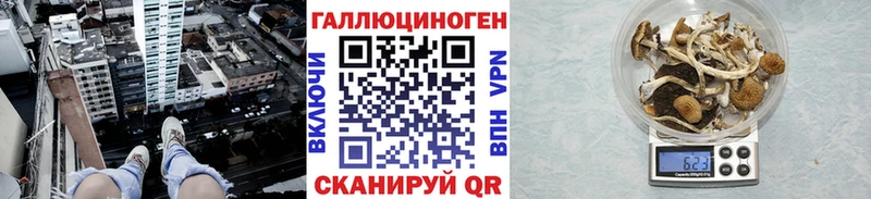 мориарти наркотические препараты  купить закладку  Алексин  Псилоцибиновые грибы мухоморы 
